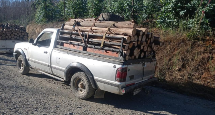 Detenidos robo madera lota
