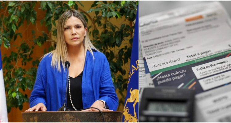 Diputada Marlene Pérez califica proyecto de estabilización de cuentas de luz como engañoso