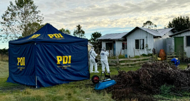 Doble homicidio en Quinchao: hombre asesinó a su abuela y hermano en isla Caguach