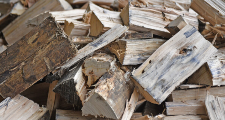 Seremi de Energía Los Lagos llama a postular al programa Leña Mas Seca: plazo finaliza el 28 de marzo