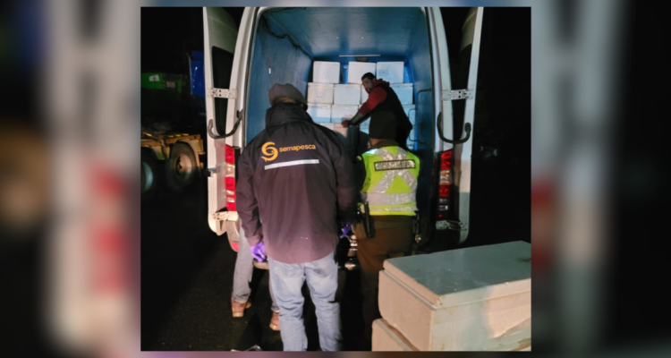 Los Ríos: incautan 2 toneladas de pescados que no contaban con acreditación de origen en La Unión