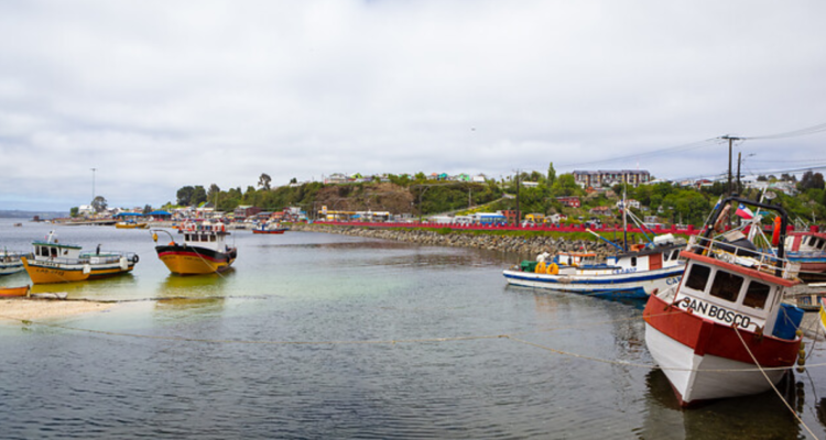 Pescadores acusan “invasión”de embarcaciones de Lebu para extraer recursos de la costa de La Araucanía