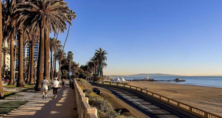 Imagen de archivo de Palisades Park