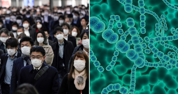 ‘Enfermedad carnívora’ en Japón