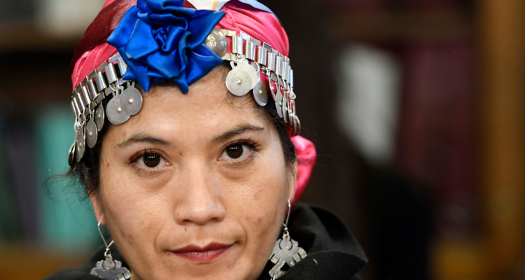 Imagen de la diputada Ericka Ñanco por querella en su contra