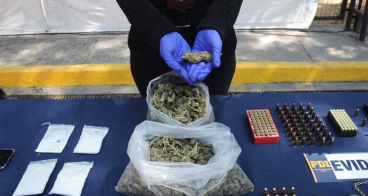 Cocaína, marihuana, armas y municiones: decomisan más de 40 kilos de drogas en Chiloé