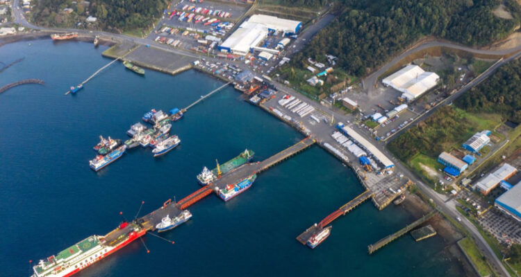 Feria acuícola AquaSur realiza exhibición de operaciones marítimas y portuarias en Puerto Montt