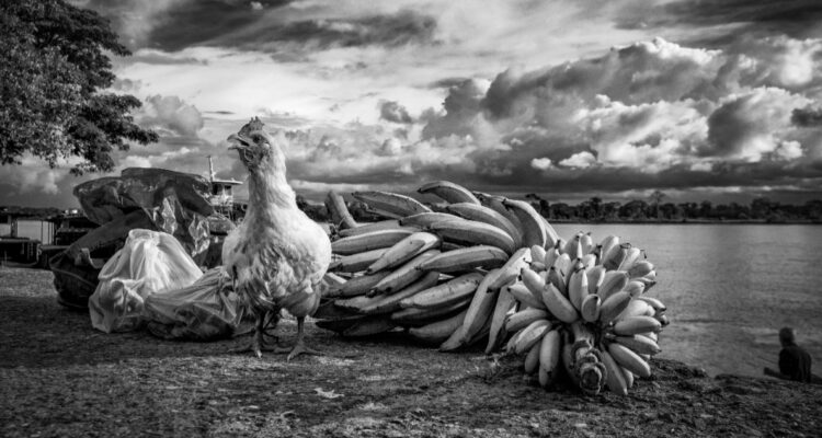 Exposición fotográfica “Pueblo Murui, un pueblo de paz” llega al Centro Cultural Estación Mapocho