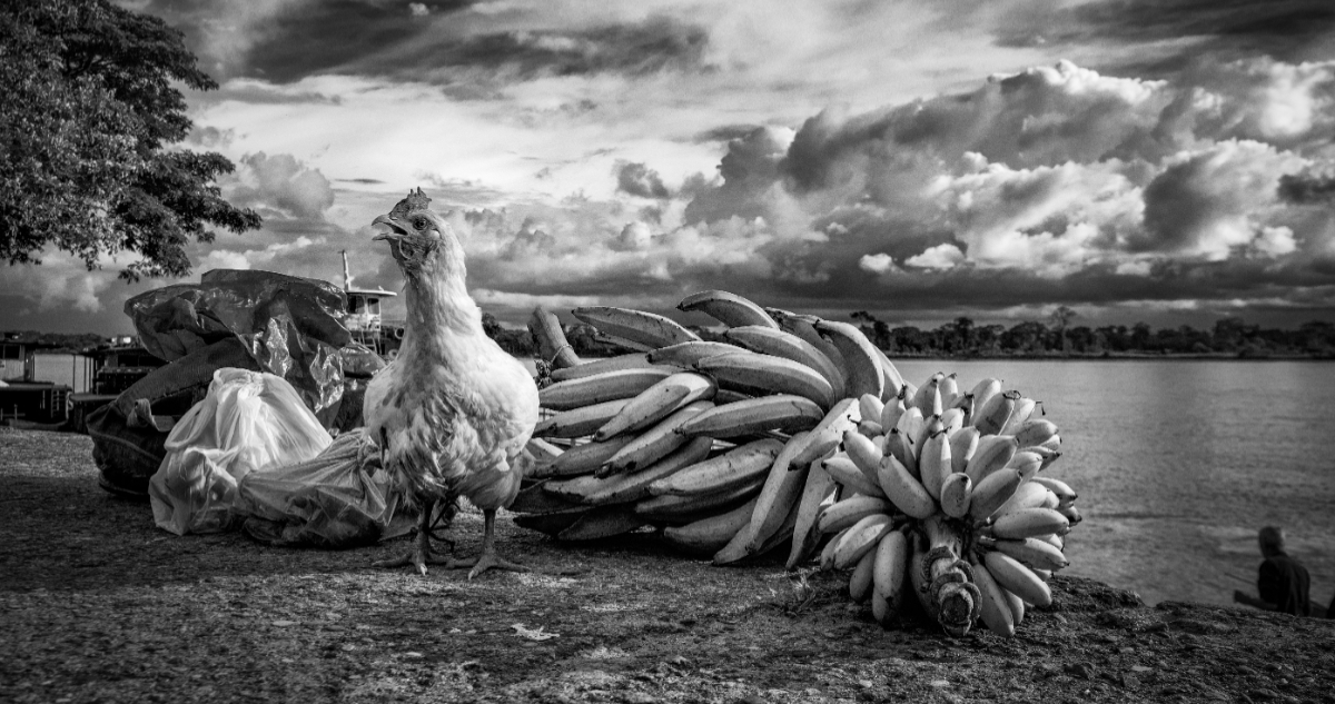 Exposición fotográfica “Pueblo Murui, un pueblo de paz” llega al Centro Cultural Estación Mapocho
