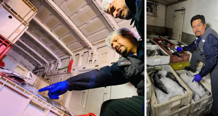 Fiscalización de productos del mar en plaza de peaje ubicada en Freire