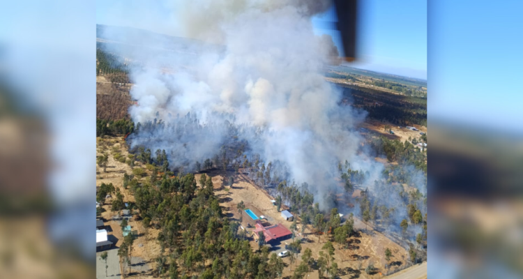 Declaran Alerta Roja para San Nicolás por incendio forestal