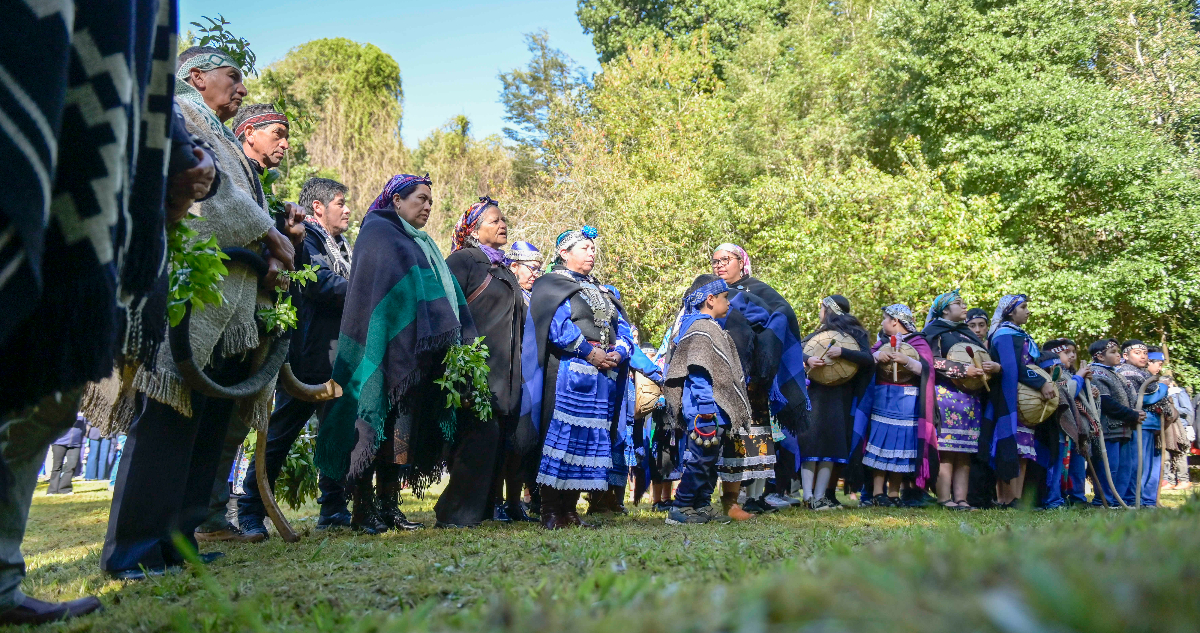 Pueblos indígenas