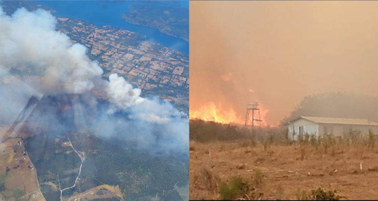 Ordenan evacuar sector en Tirúa por incendio forestal de rápido avance: se declaró Alerta Roja