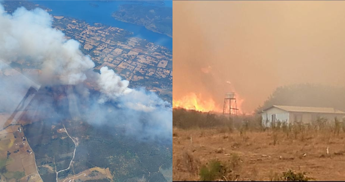 Ordenan evacuar sector en Tirúa por incendio forestal de rápido avance: se declaró Alerta Roja