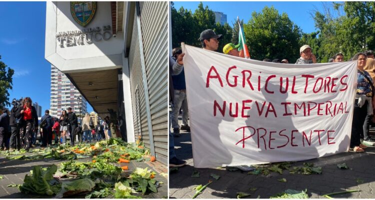 Alcalde de Temuco por hortaliceros de Temuco