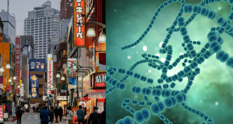 enfermedad carnívora