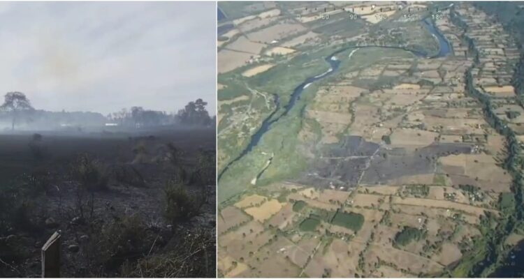 Alerta Roja para Pitrufquén por incendio forestal