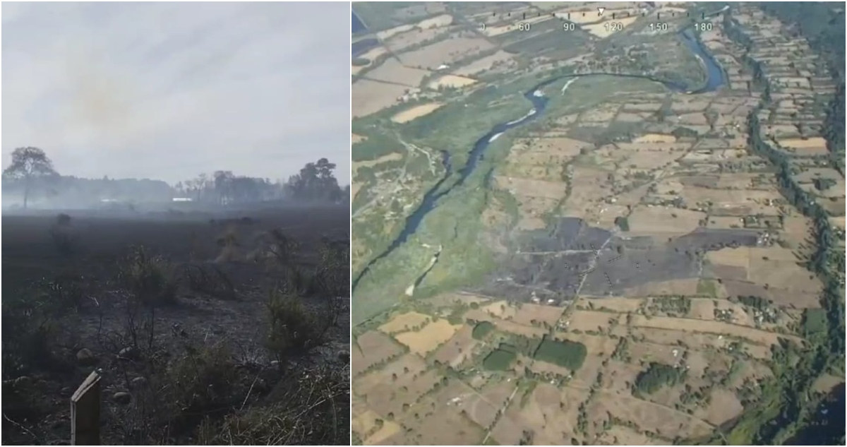 Alerta Roja para Pitrufquén por incendio forestal