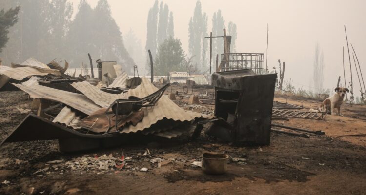 Incendio forestal de Santa Ana