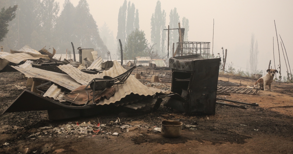 Incendio forestal de Santa Ana