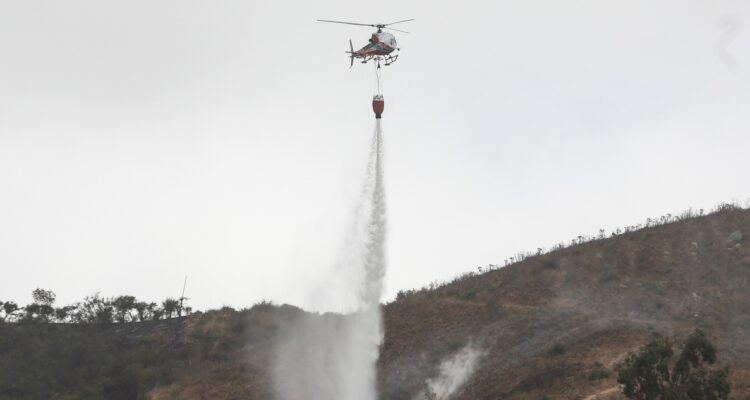 Incendio forestal en Tirua