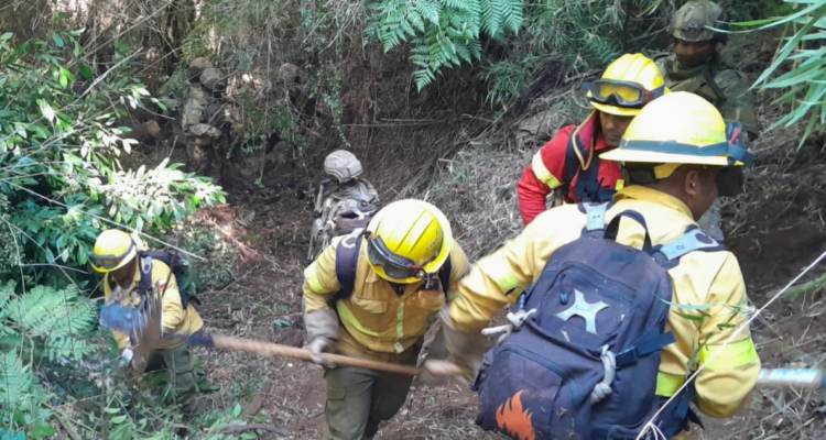 Brigadistas combatiendo incendio en Tirúa