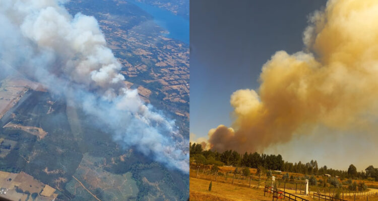 Retoman trabajo aéreo en incendio forestal de Tirúa tras descartar denuncia de disparos