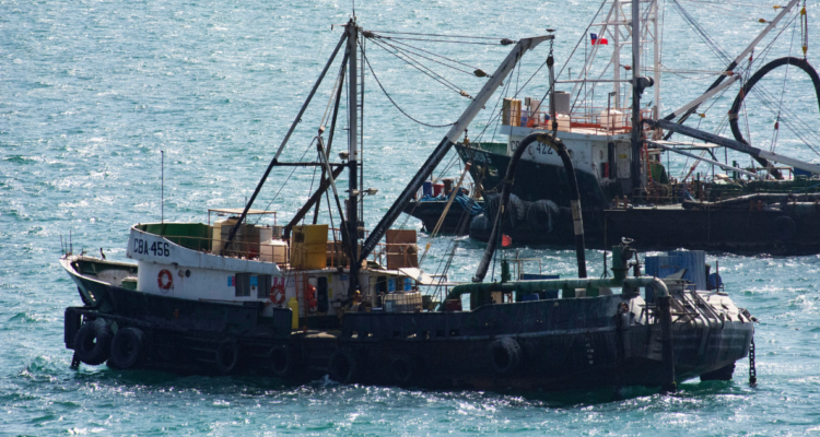 Primer paso de nueva Ley de Pesca: comisión de la Cámara aprueba de forma unánime la idea de legislar