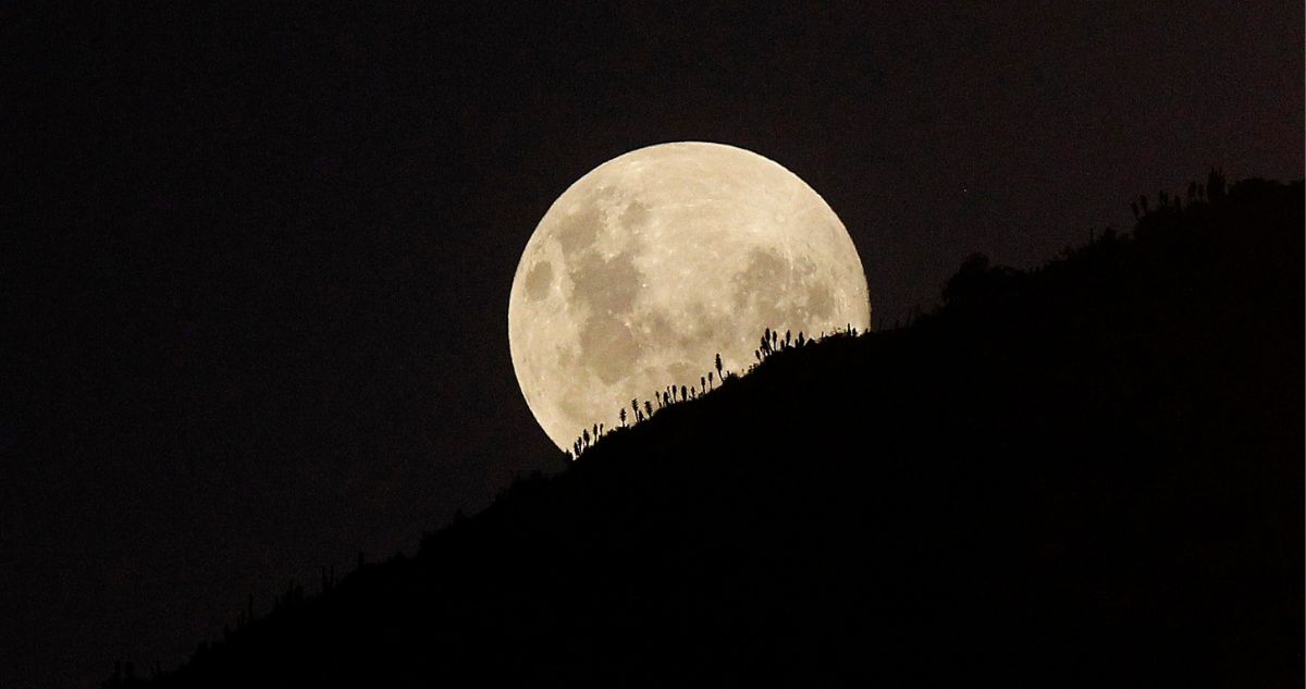 Marzo astronómico: se viene la Luna de Gusano ¿Cuándo será visible y cómo verla?