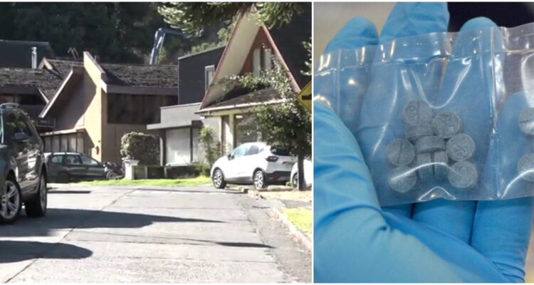 Incautan marihuana y éxtasis en medio de allanamiento por caso convenios en bío Bío