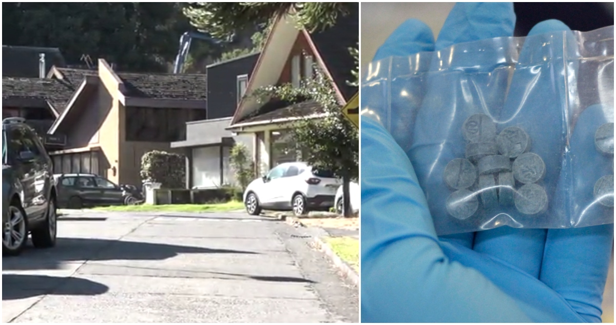 Incautan marihuana y éxtasis en medio de allanamiento por caso convenios en bío Bío