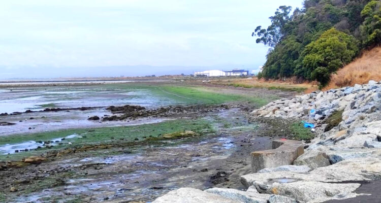 Millonaria inversión permitirá a Talcahuano contar con una playa en sector de Caleta El Morro