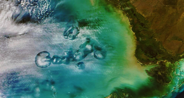 Estos inusuales eventos generan diversas especulaciones que suelen involucrar ovnis, pero la NASA explica por qué los aviones los causan.