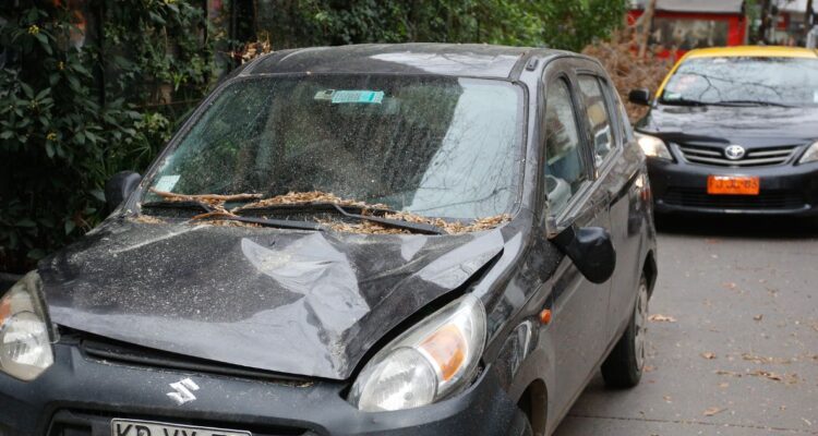 Qué se debe hacer para eximirte y no pagar el trámite del Permiso de Circulación 2024 si es que no vas a usar tu auto o vehículo este año.