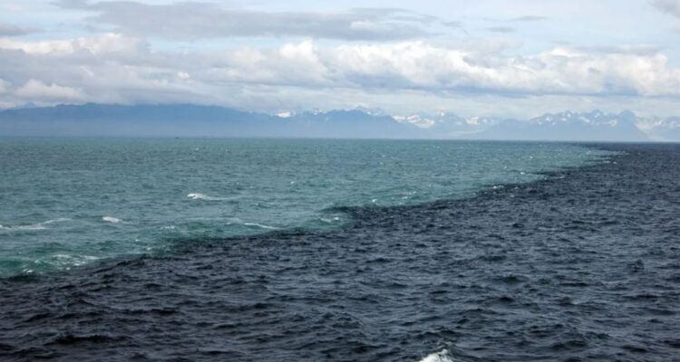 ¿Pueden mezclarse el océano Pacífico y el Atlántico? Ambos se juntan en el sur de Chile