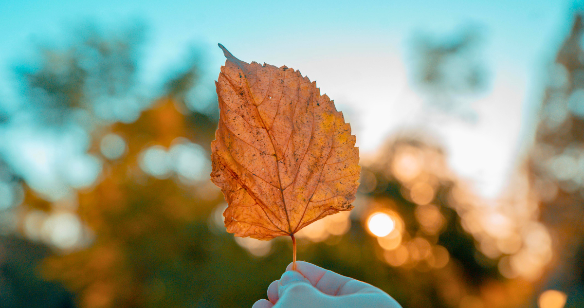 Otoño