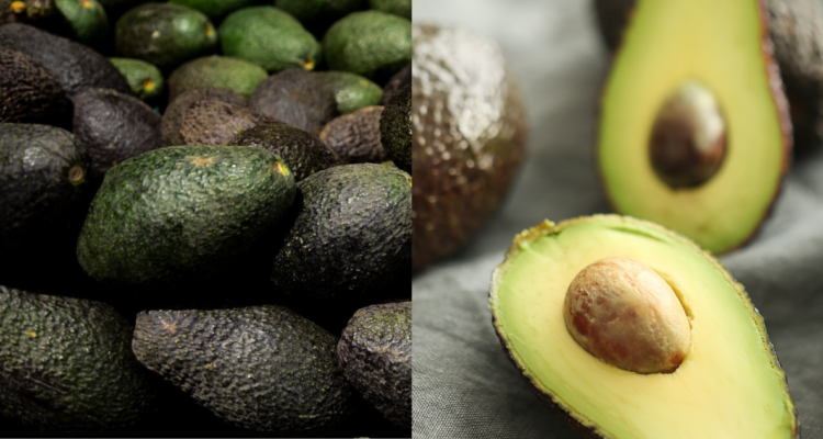 qué pasa si comes palta todos los días