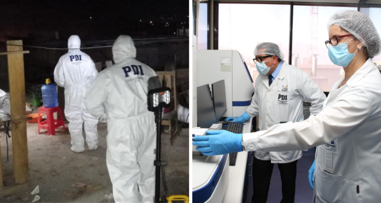 Mujer lo arañó: identifican a autor de violación y femicidio con examen de ADN a uñas de la víctima