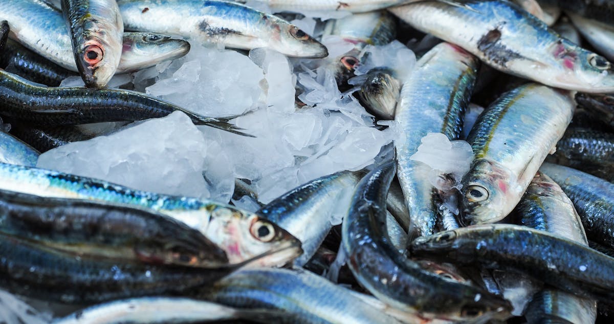 Pescados Semana Santa