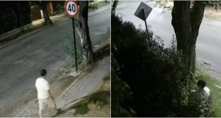 Detienen al “Pistolero de La Reina” tras varios días prófugo