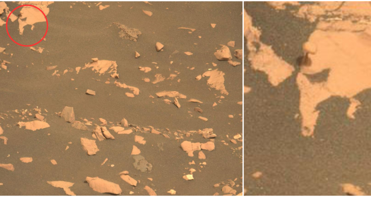 El rover Perseverance encontró un “hongo” de piedra en Marte y demostró que hubo agua en el planeta