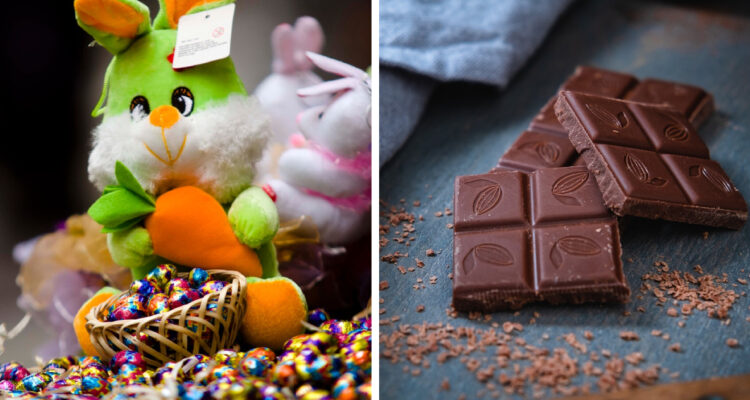 Izquierda: un conejo de peluche con huevitos de chocolate derecha: una barra de chocolate