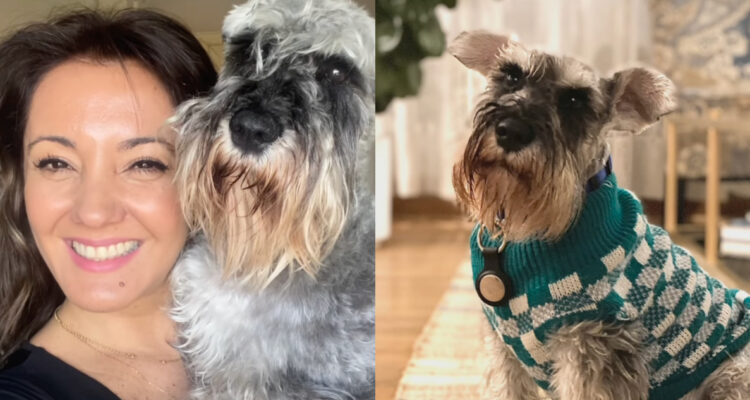Priscila Vargas compartió emotivo mensaje tras perder a su perrito: “Se nos partió el corazón”