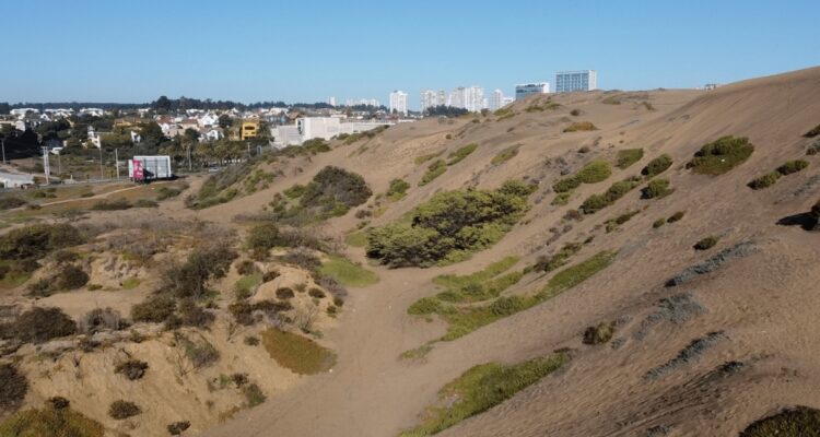 Duna Viva – Facebook