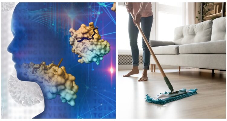 Un estudio asoció el contacto con dos compuestos químicos muy habituales en cualquier hogar a daños que causan enfermedades cerebrales.