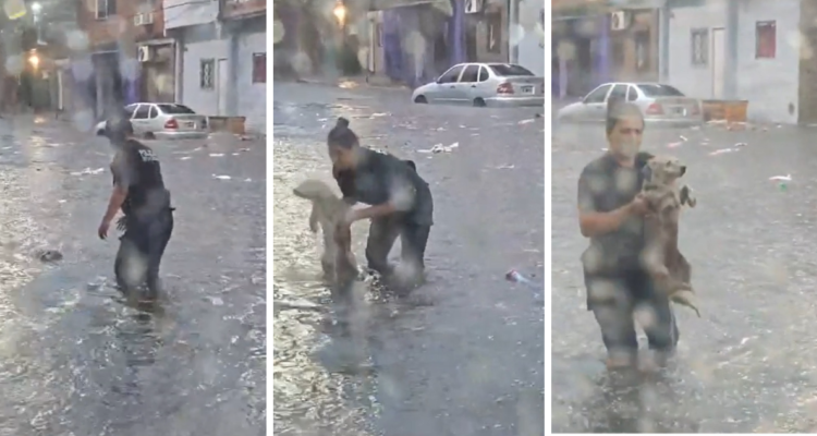 Policía de Argentina rescata a perro en medio de inundaciones.