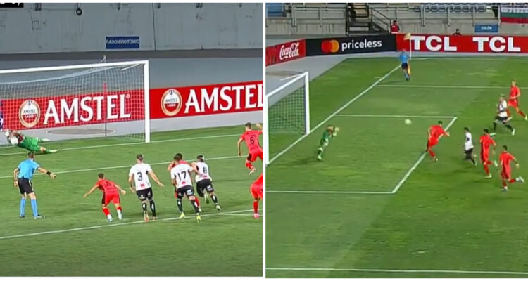 Rigamonti Palestino Nacional