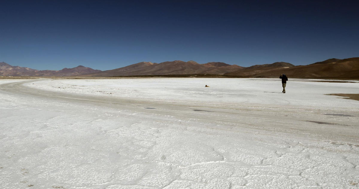 Fotografía del salar de Maricunga, el 6 de junio 2023 en la ciudad de Copiapó (Chile)