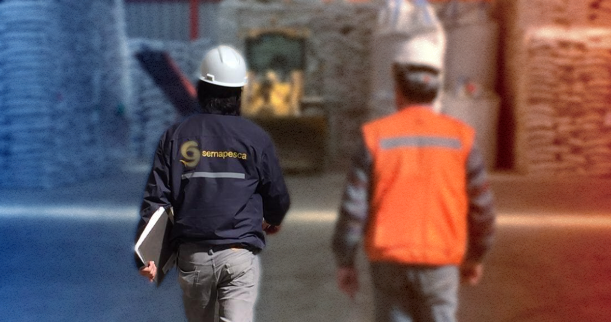 Fiscalizadores del Sernapesca en bodegas de harina de pescado