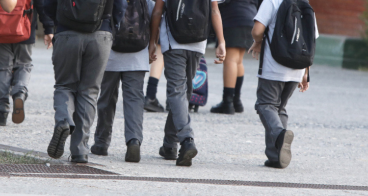 sistema de educación